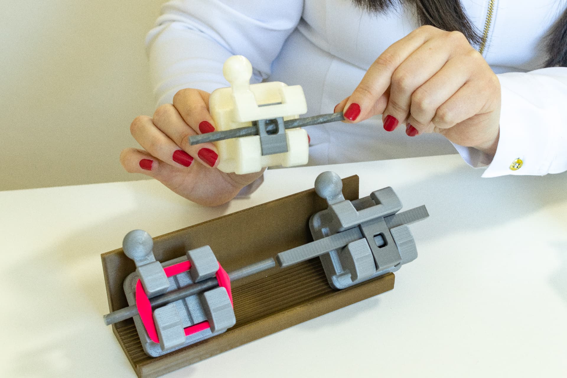 Brackets estéticos y metálicos en modelo dental